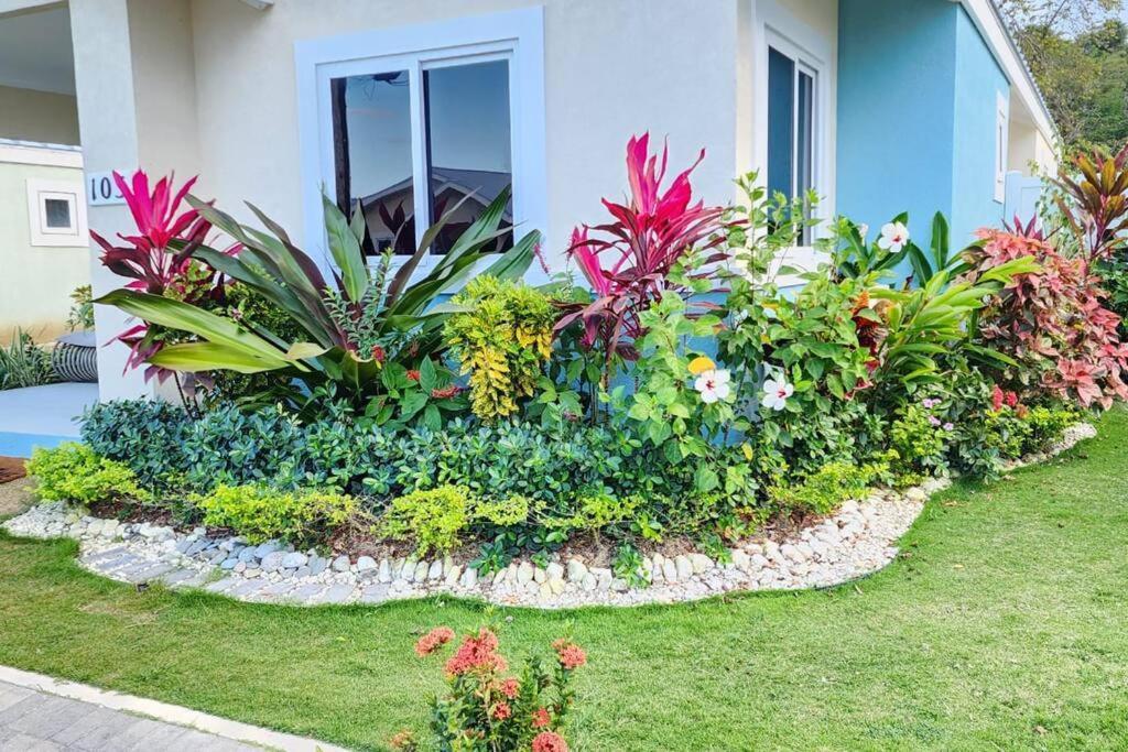 Villa Snooze At Oceanpointe à Lucea Extérieur photo
